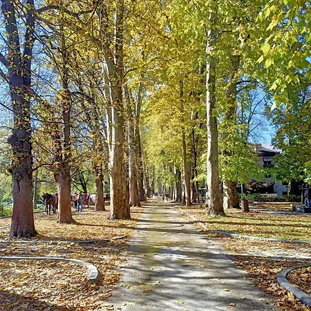 Lux Ilidza *