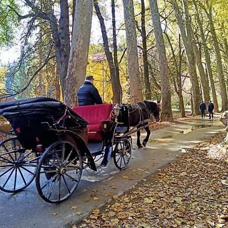 Lux Ilidza * Sarajevo